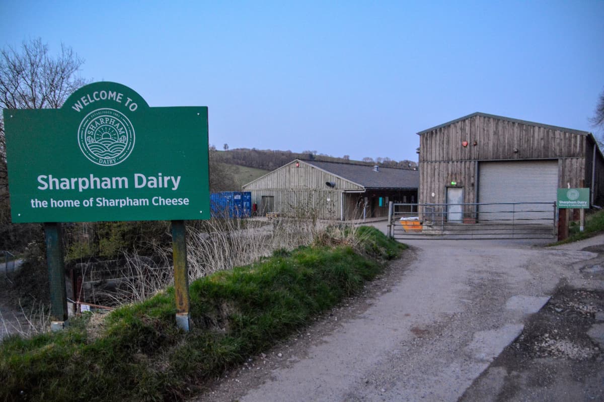 Sharpham Dairy on the banks of the River Dart in Devon
